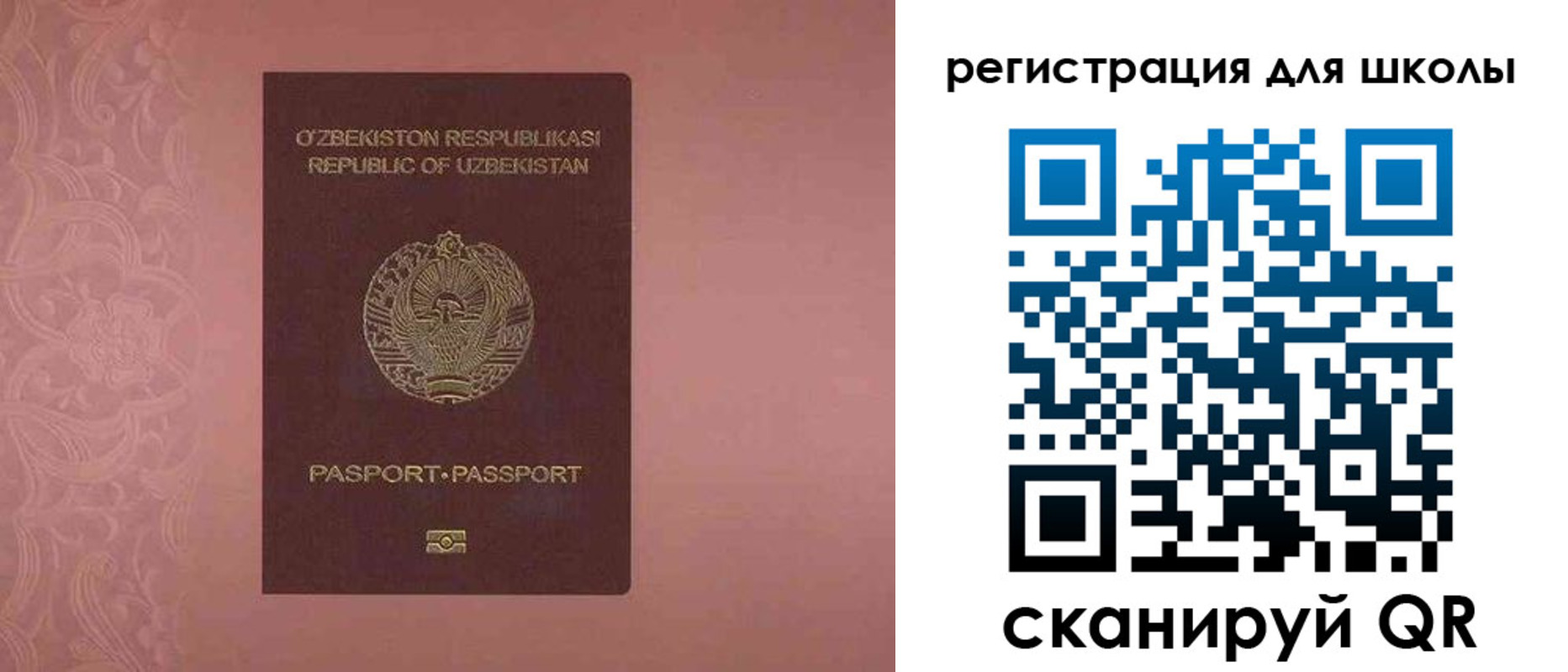 прописка для школы в Владимире