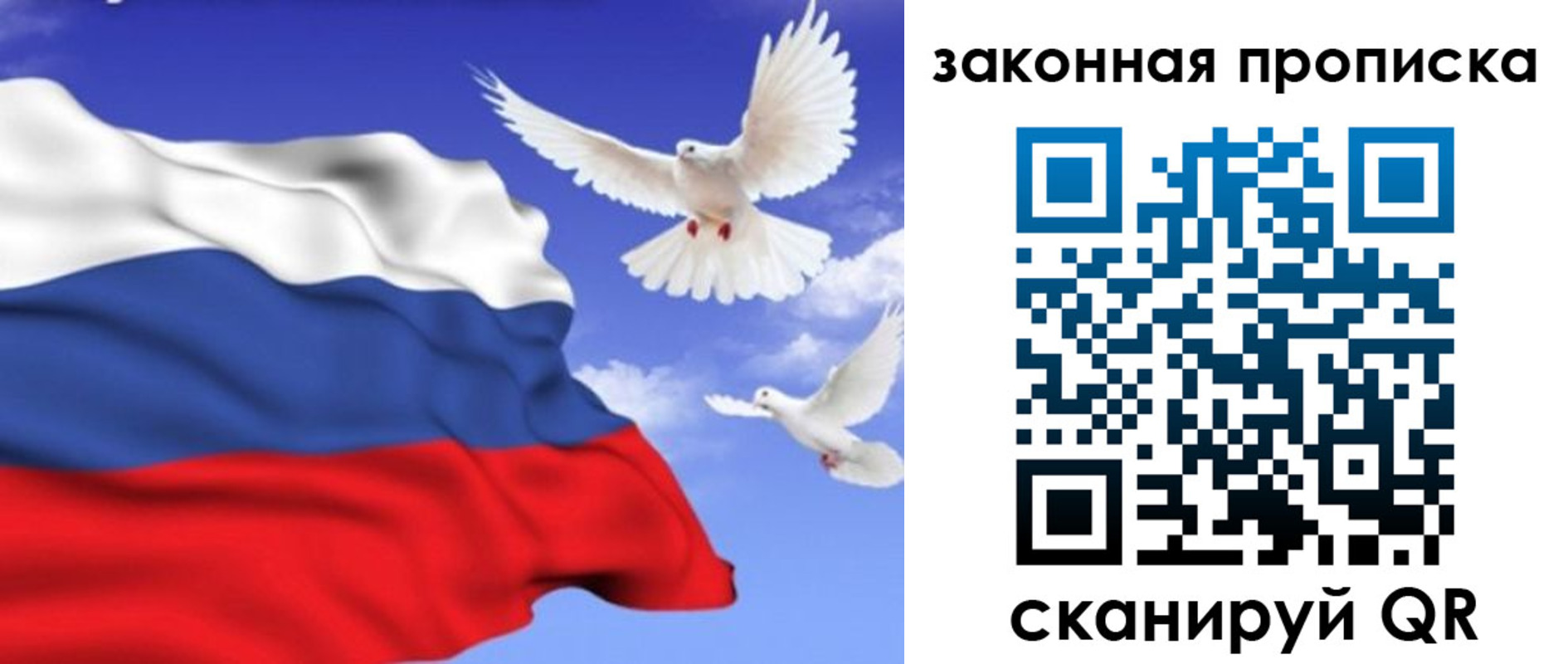 регистрация в Владимире